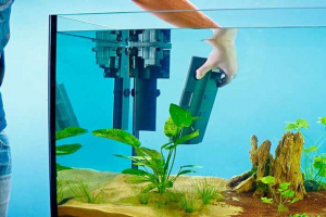 Як встановити фільтр у акваріум? Як встановити фільтр у акваріум?